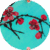 Sakura 2