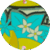 Hello 80’s flowers