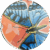 Mariposa